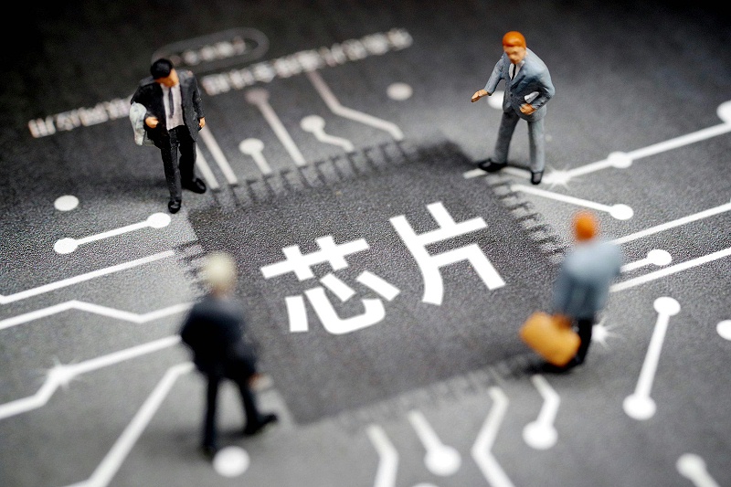 芯片相當于人的什么器官?