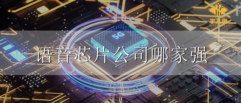 語(yǔ)音芯片公司哪家強(qiáng)
