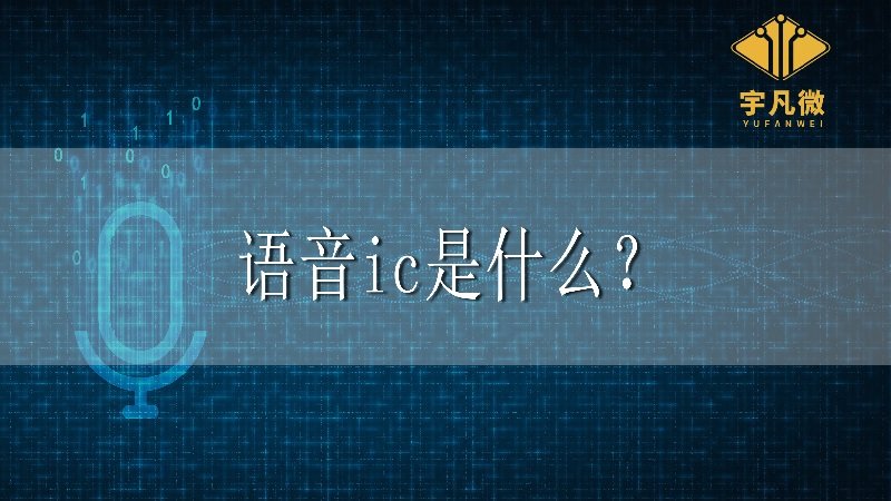 語音ic是什么？