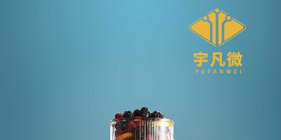 家用迷你果汁杯方案開(kāi)發(fā)