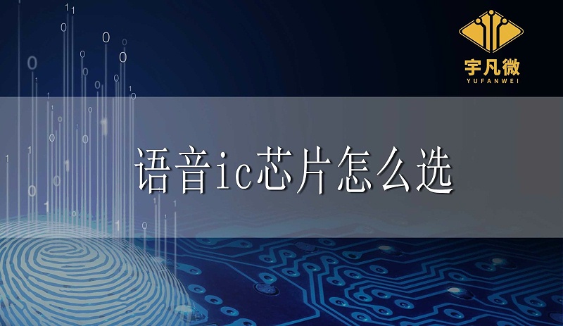 語音ic芯片怎么選